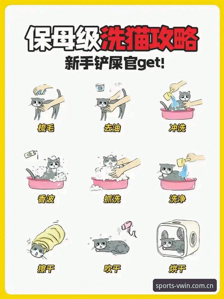 新手必看：德赢体育VWIN登录使用心得——从零开始轻松上手